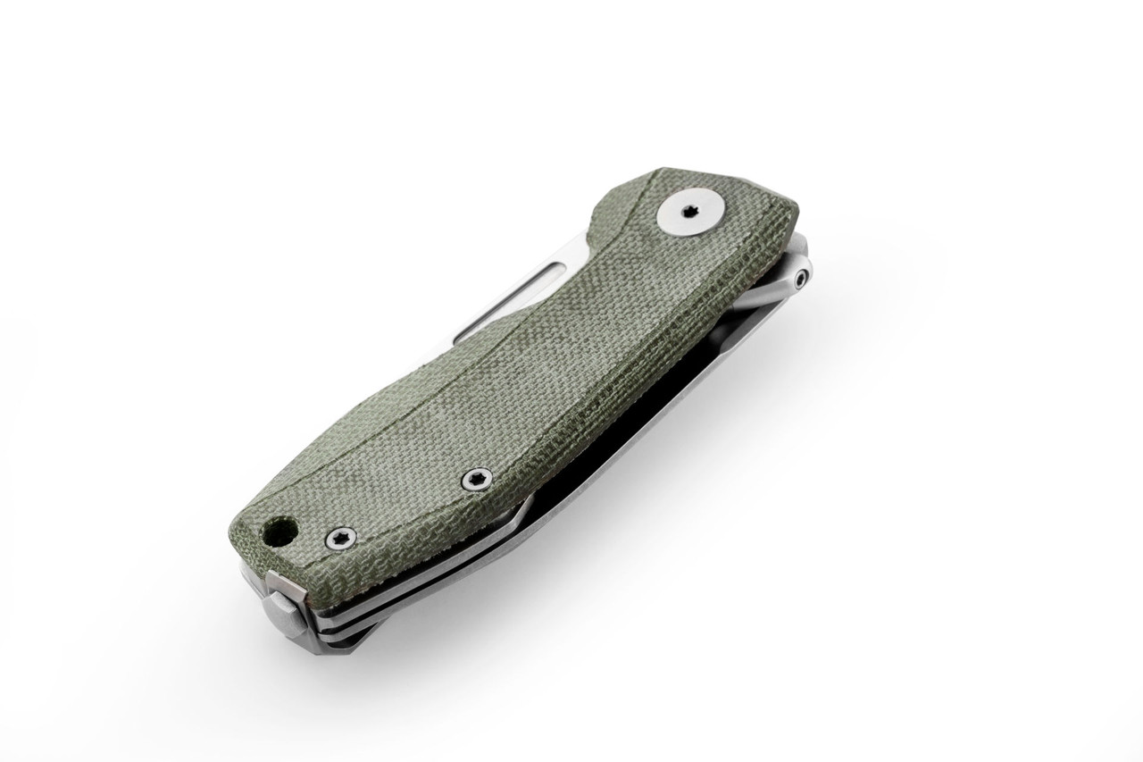 LionSTEEL Nano - Green canvas