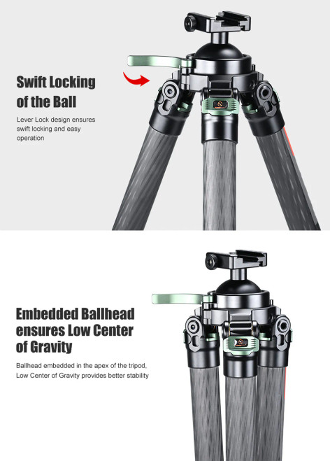 SunwayFoto T3640CS-D Hunting Tripod for Shooting Rifle Stand Carbon Fiber, 36mm, 4 Sections, load 66lbs (30kgs) with Arca-Swiss Picatinny Adapter Clamp SunwayFoto T3640CS-D Hunting Tripod for Shooting Rifle Stand Carbon Fiber, 36mm, 4 Sections, load 66lbs (30kgs) with Arca-Swiss Picatinny Adapter Clamp
