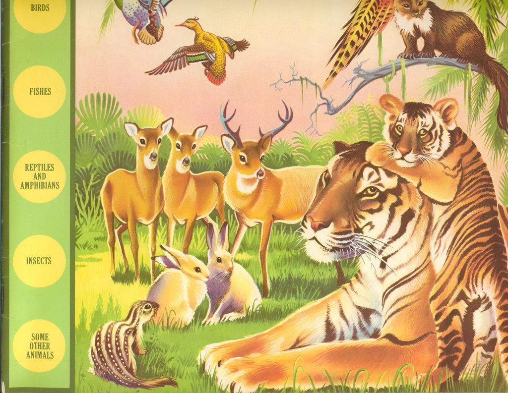 1959 Wonders Of The Animal Kingdom 21 Different Packs, Book, Slip Cover  #*