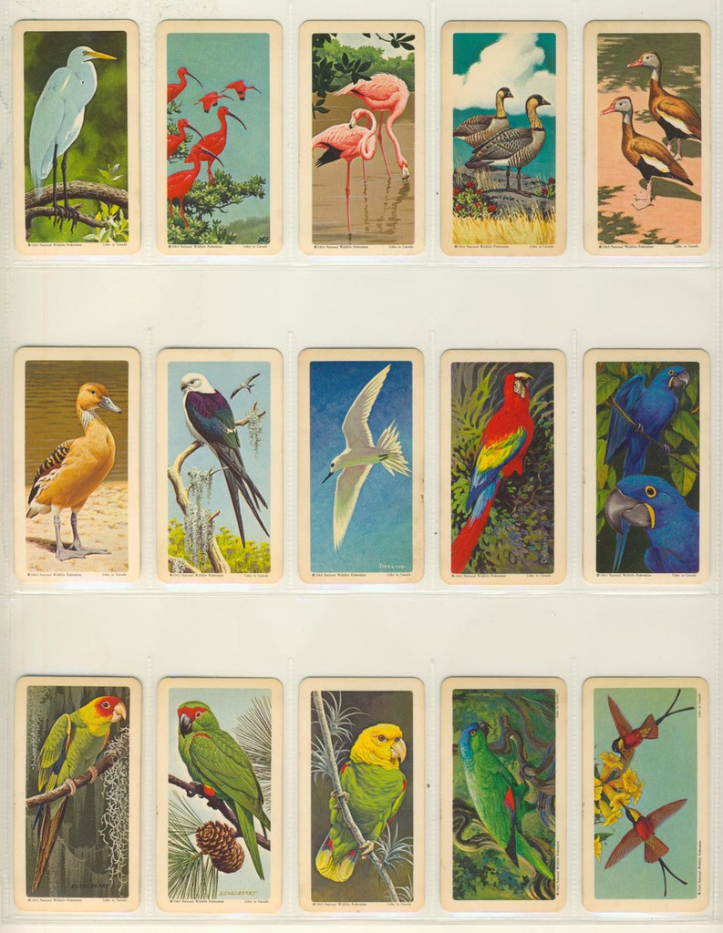 1960's Brooke Bond Canada Ltd F450-5 Series 6 Tropical Birds U S A Made Lot 35/48  #*