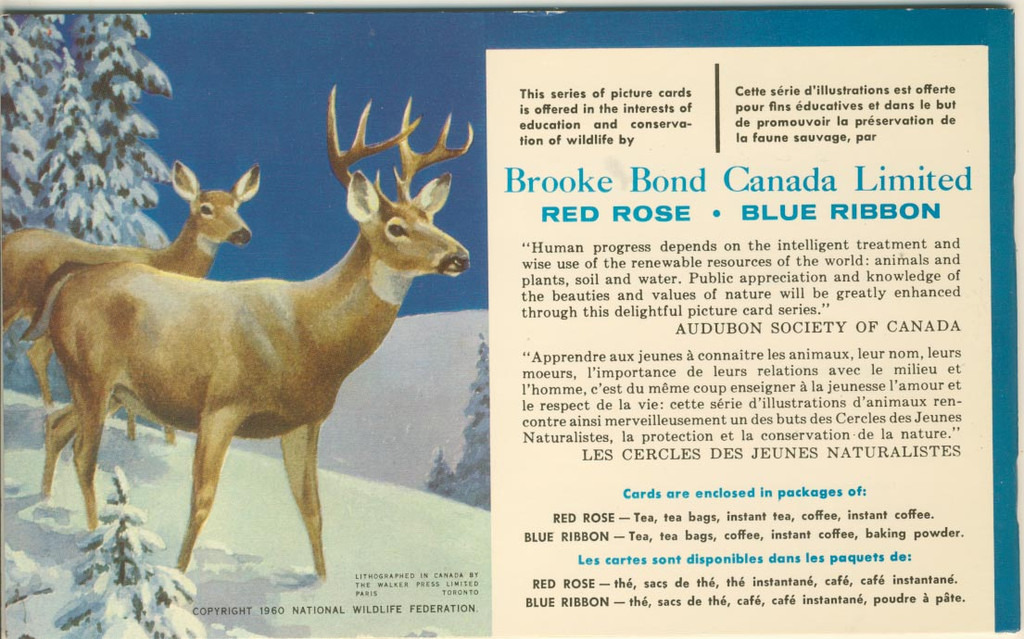 1960's Brooke Bond Canada Ltd F450-1 Series 1 Animal Of North America U S A Made Lot 20/48 w/Album  #*