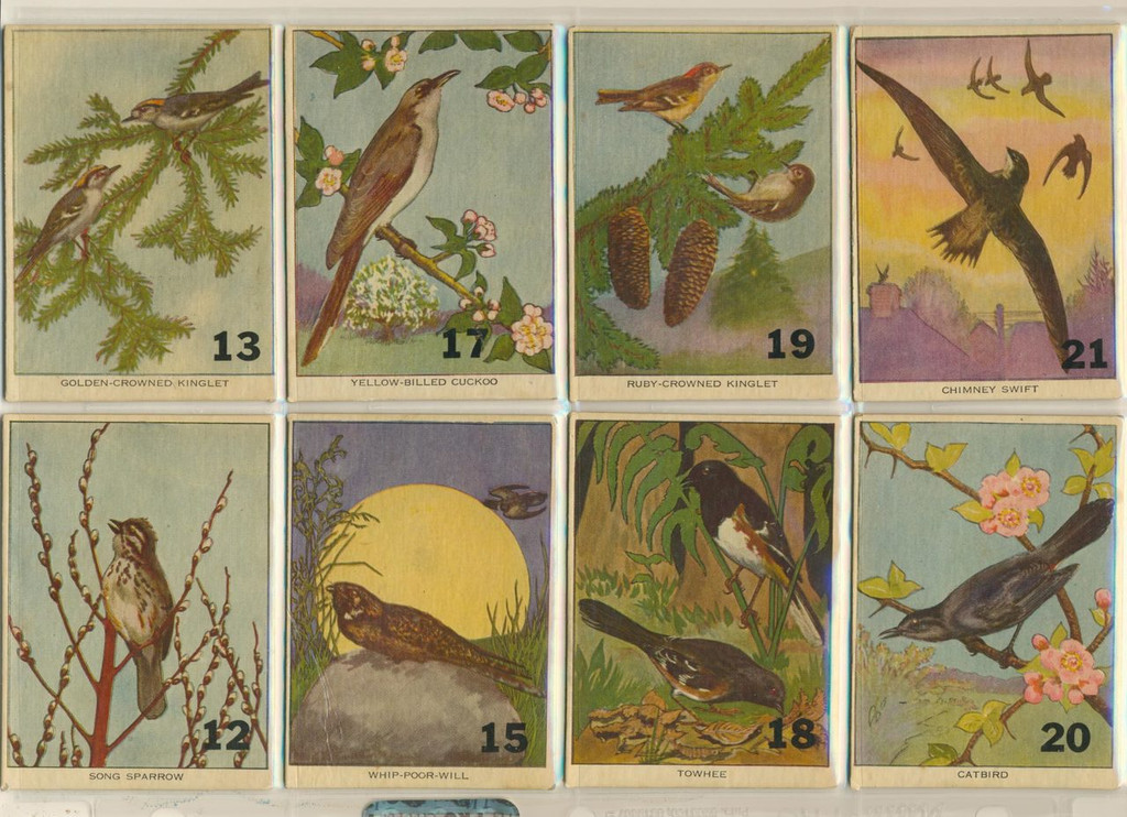 1960's Birds Lot 40  #*