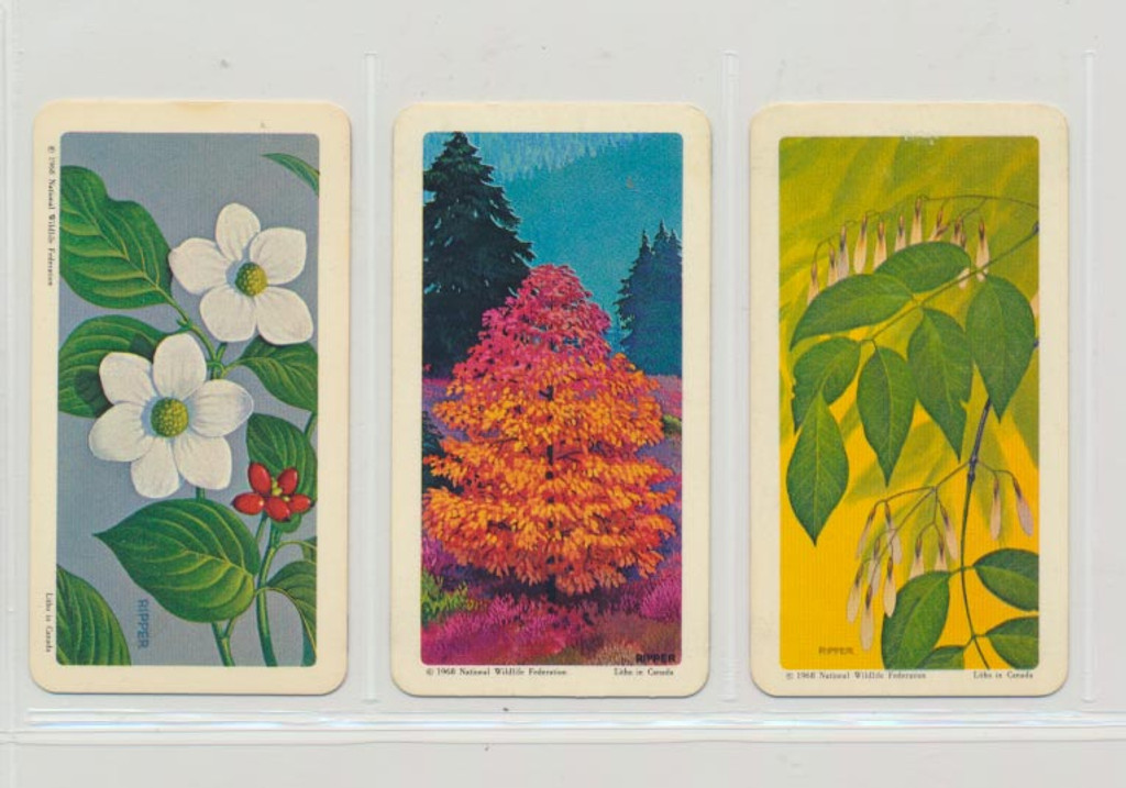 1962 Brook Bond Tea (Canada) Trees Of North America Set 48   #*