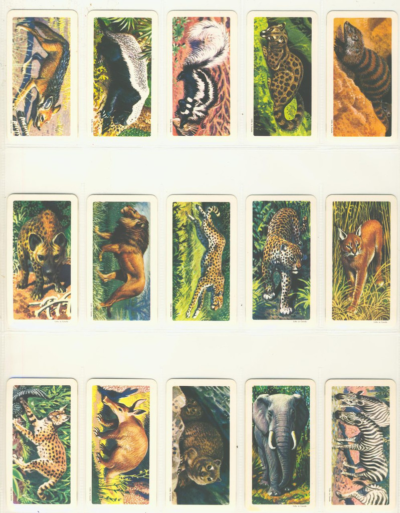 1964 Brooke Bond Canada Ltd Africian Animals FC34-7 Series 7 Lot 46/48  #*