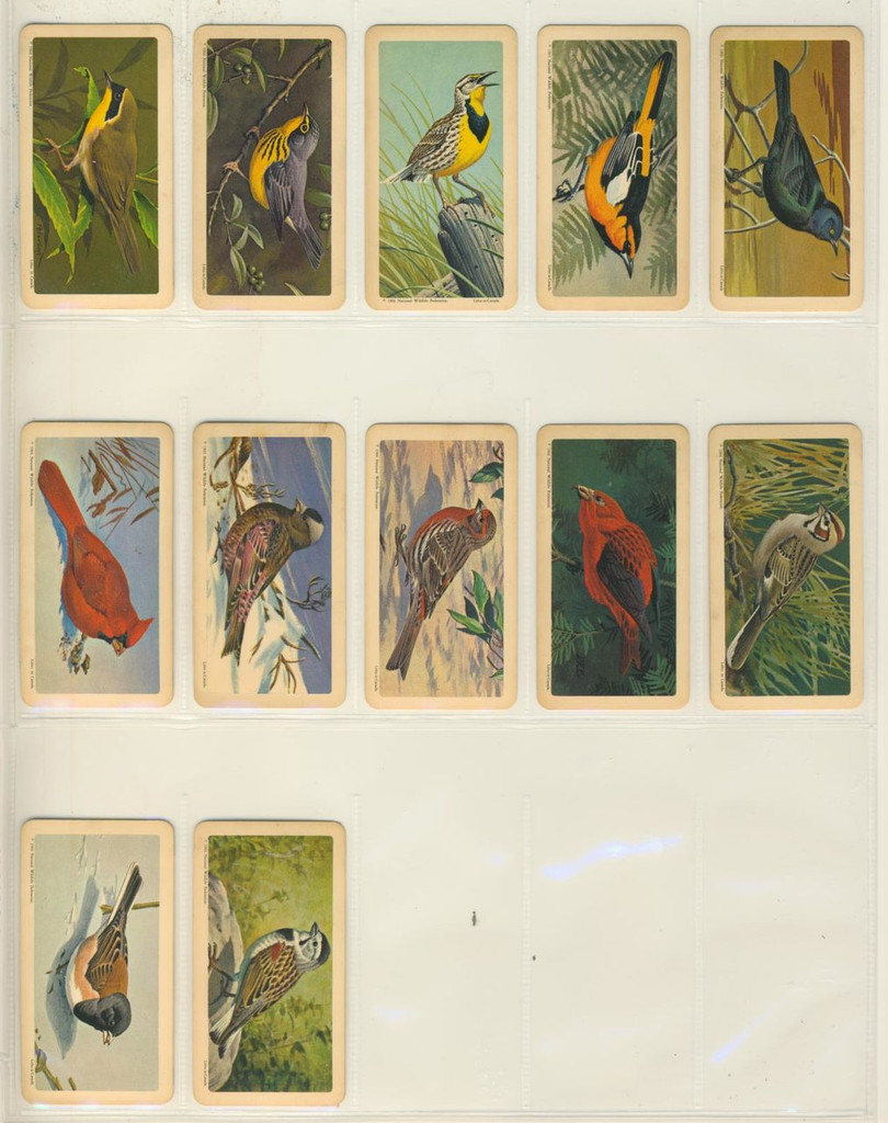 1966 Brooke Bond Canada Ltd F450-7 Series 9 Canadian/American Song Birds U S A Made Lot 27/48  #*