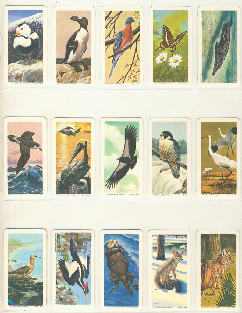 1970 Brooke Bond Canada Ltd North American Wildlife In Danger FC34-14 Series 13 Lot 44/48  #*