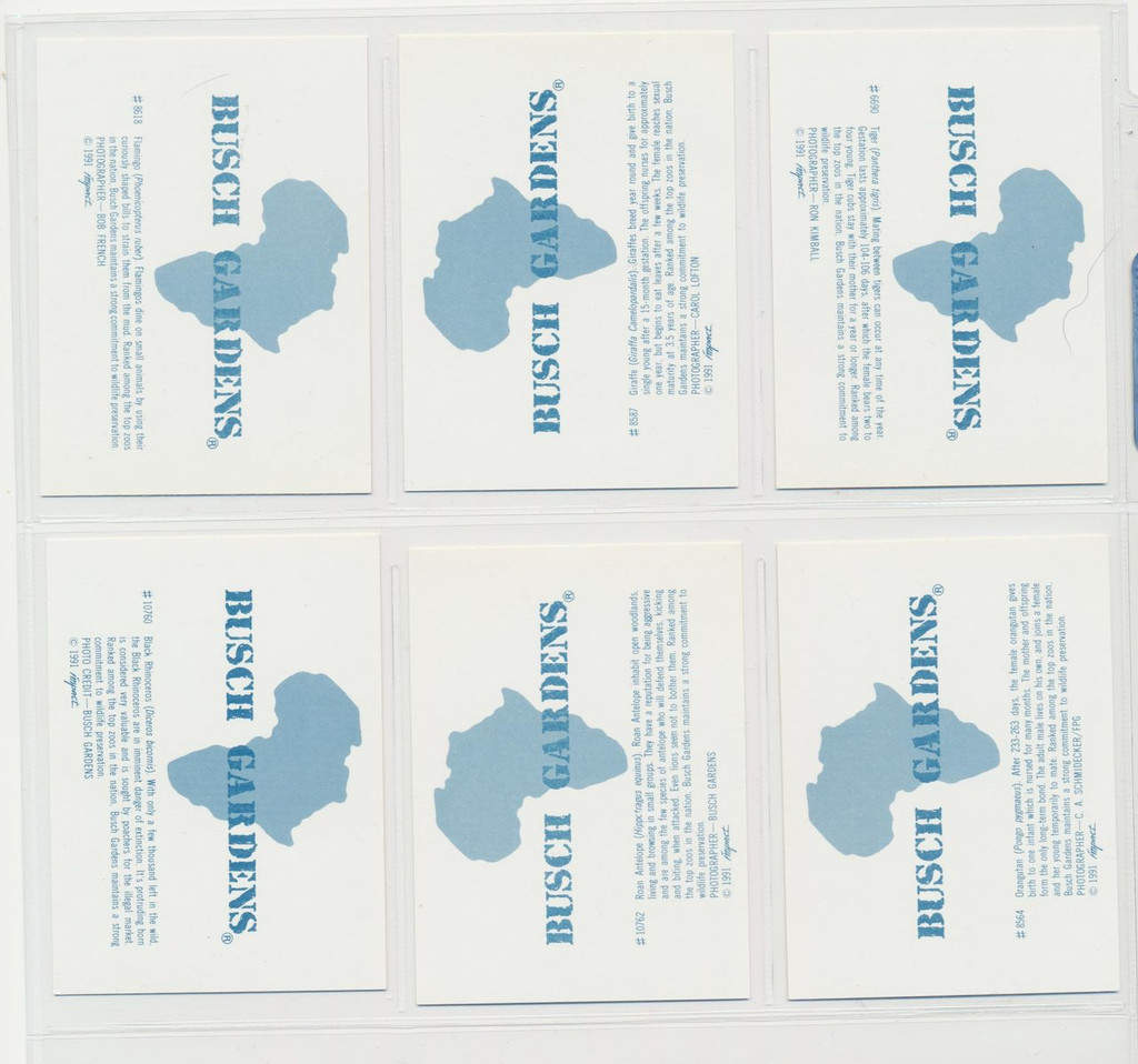 1991 Impact Busch Gardens Wild Animals Box Set (12)   #*