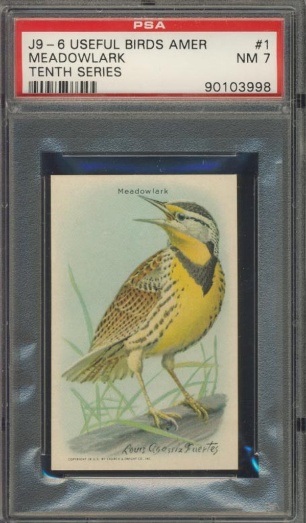 Useful Birds Of America #1 Meadowlark PSA 7 NM  #*