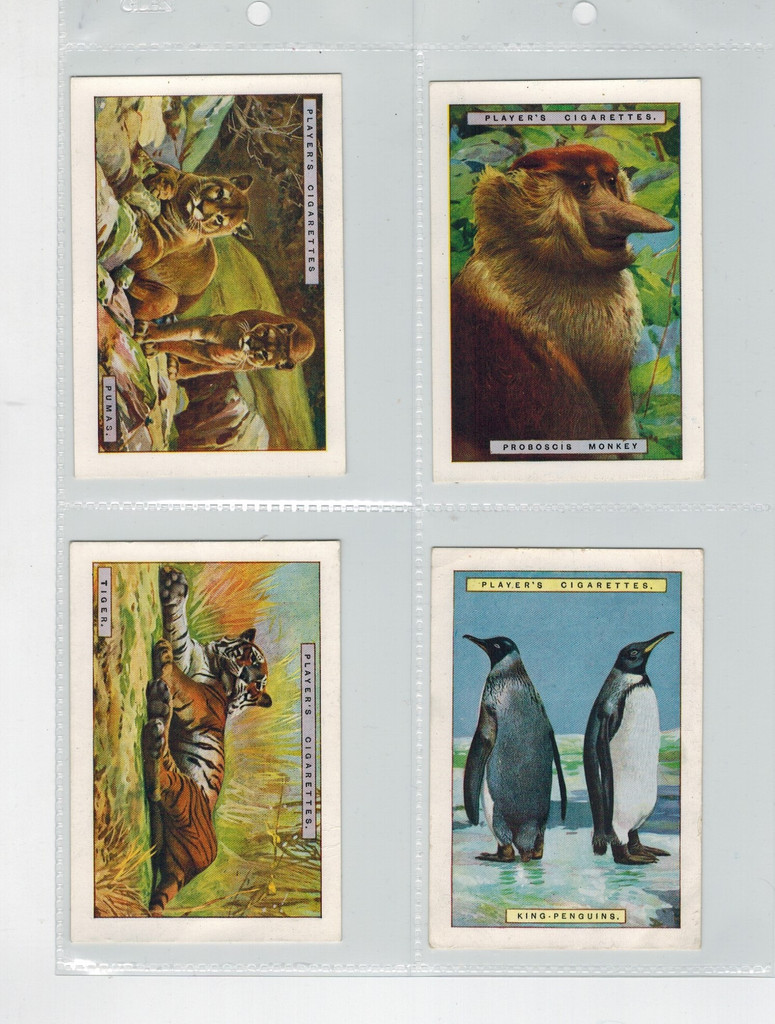 1924 John Player & Son  Natural History Set 12  #*