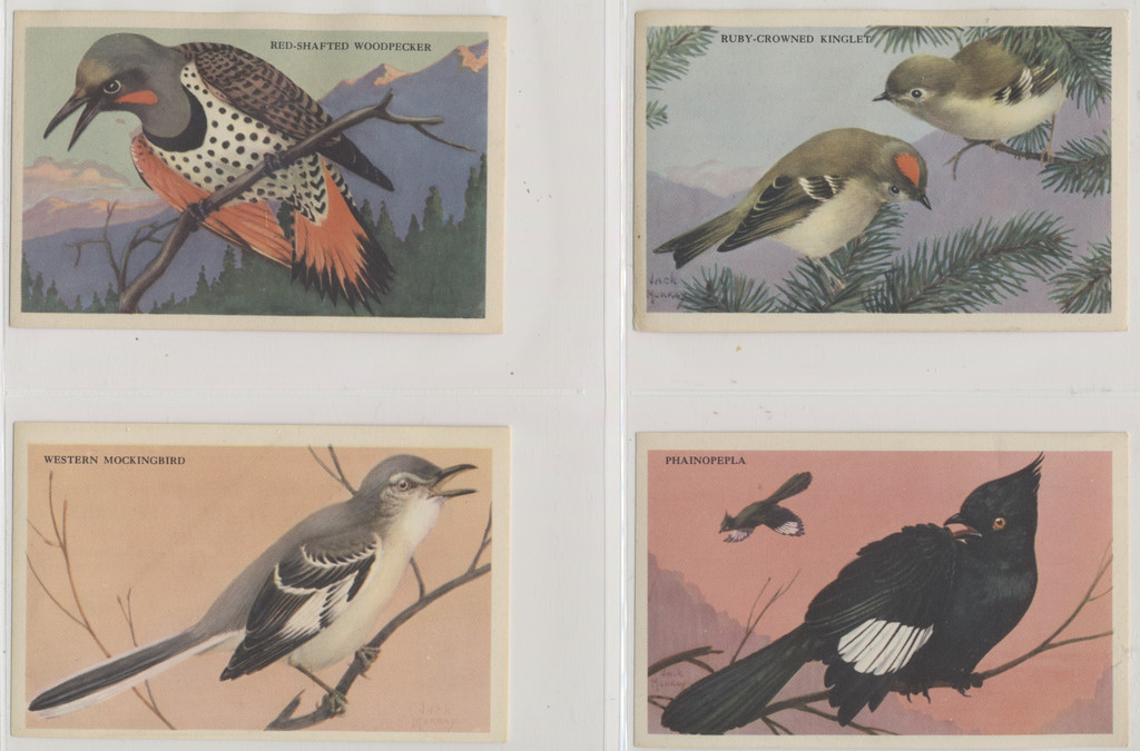 1943 F274-3b Beautiful Birds Of The West Series 17/24  #*sku2044