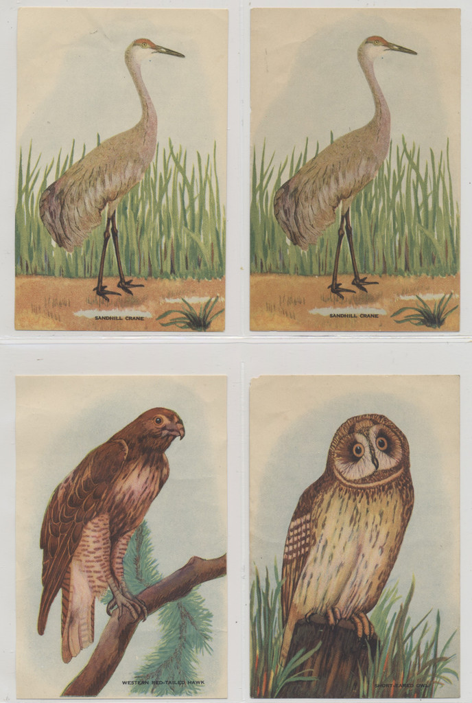 1930's D119 Birds Multiple Bakeries Lot 16  3 1/2 by 5 inches  #*sku2045