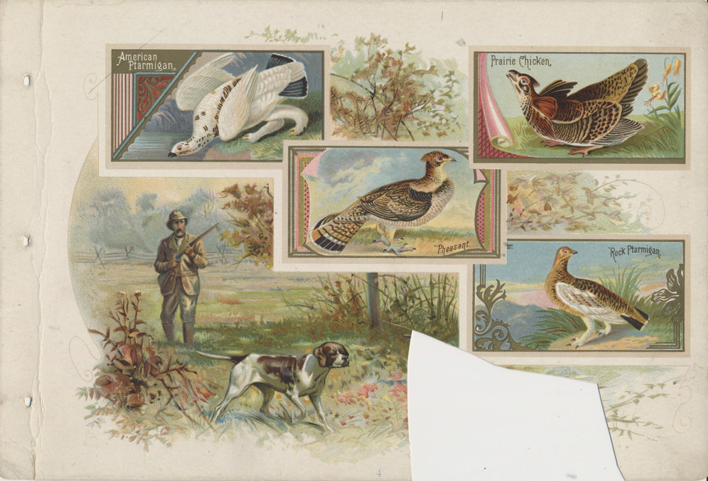 1888-1890 Allen & Ginter A-9 Game Birds 1St Edition (CUT)  #*