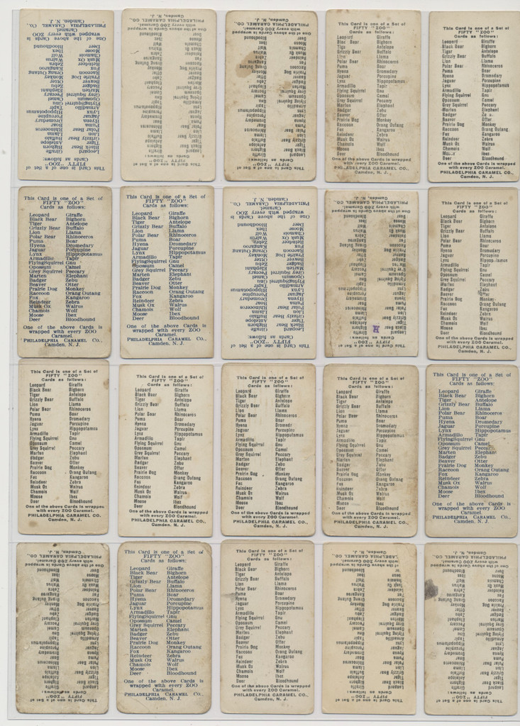 1910 E28 Philadelphia Caramel Co. Zoo Cards (Quadrupeds) Partial Set 42/50  #*sku37431