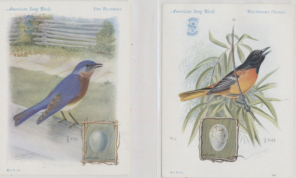 1900s H 684 AMERICAN SONG BIRDS SET (16)  #*