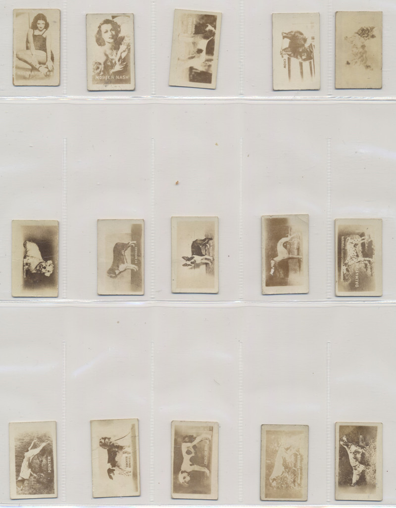 1948 Topps R714-27 Hocus Focus Complete Set of 252  #*sku37600