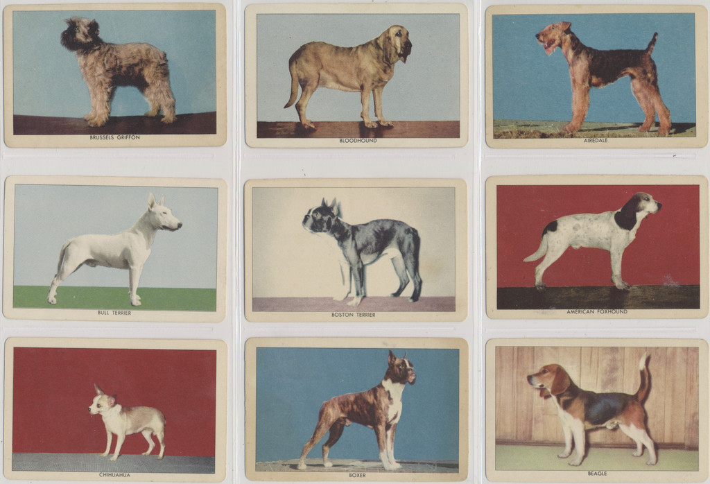 1950's Orange Crush F214 Dogs Trading Cards Set 35 Plus 12 Variations #*