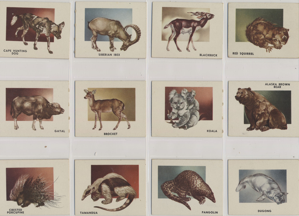 1950 Topps Animals Set 100  The Best  #*