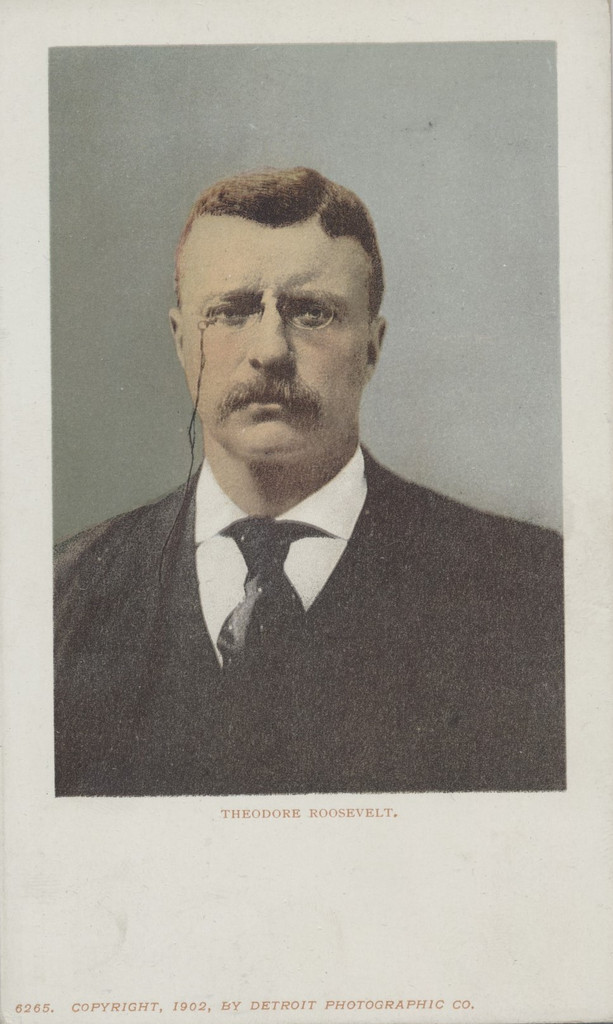 1902 Post Card #6265 President Theodore Roosevelt Picture  #*sku2345