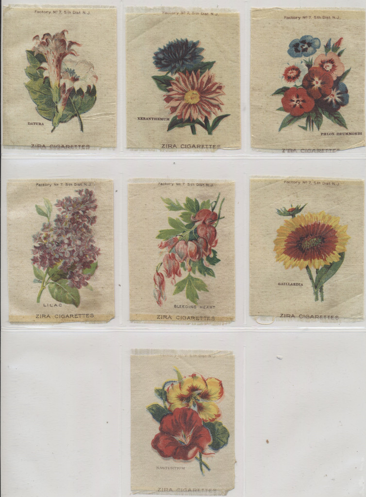 1910 S-49-2 FLOWERS LOT OF (7) 3 BY 4 INCHES  #*