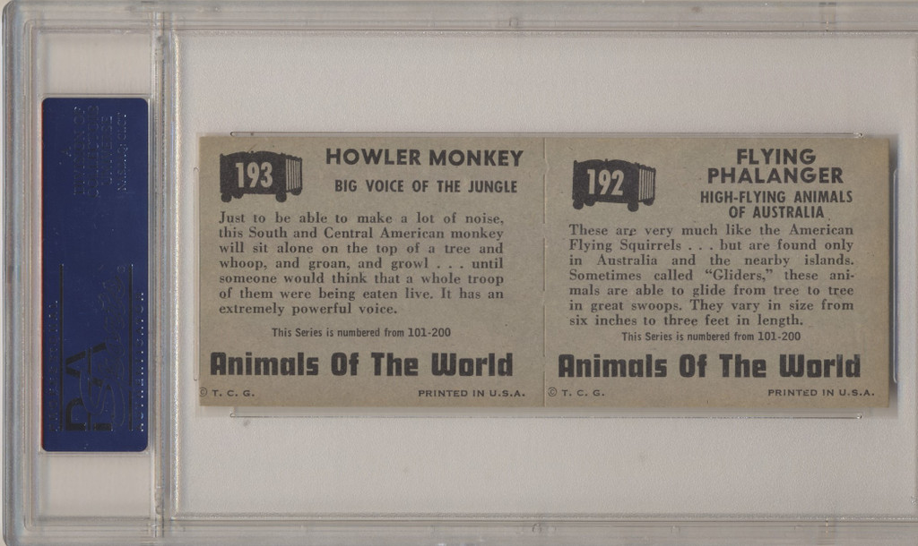 1951 Animals Of The World 2 Card Panel #192 & 193 PSA 7 NM  #*