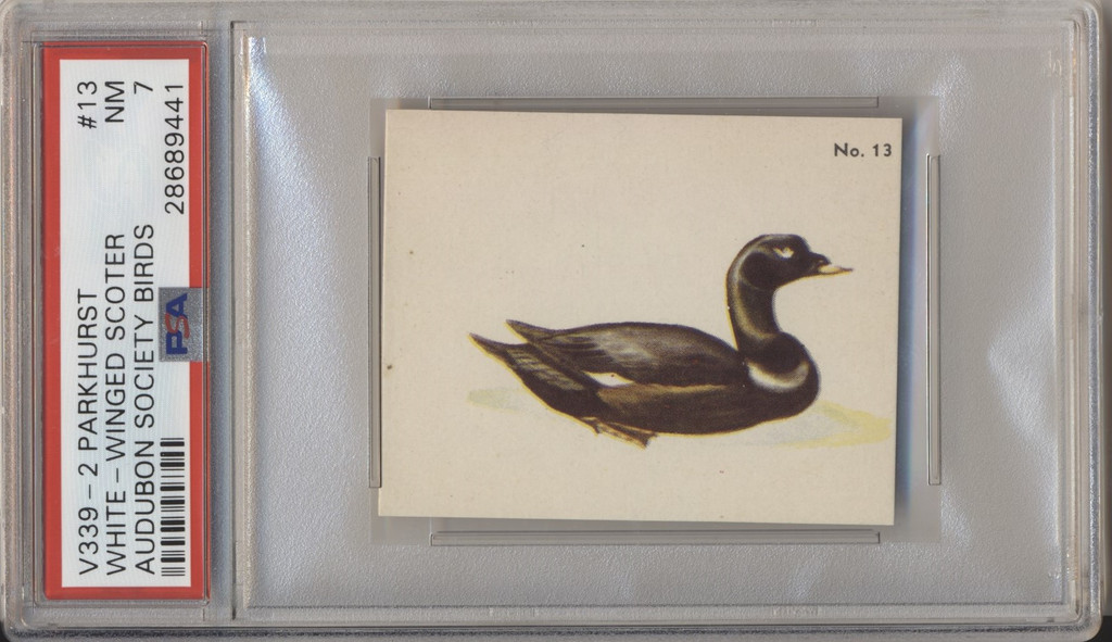 1954 V339-2 Parkhurst Audubon Society By Birds #13 White Wing Scoter PSA 7  NM  #*