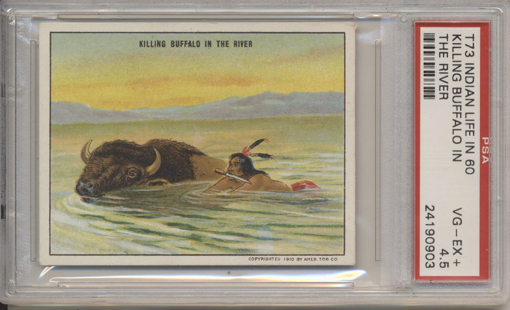 1910 T73 Hassan Cigarettes Indians Life Of 1860's Killing Buffalo In The Water  PSA 4.5 VG-EX+  #*
