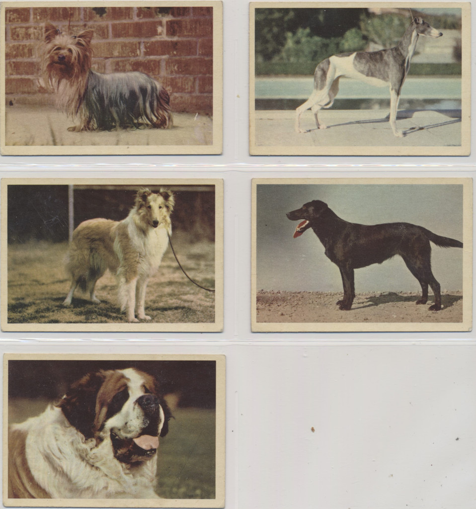 1955 Fido Bubble Gum V339-4 Parkhurst (Canada) Dogs English & French Lot 4  #*sku35000