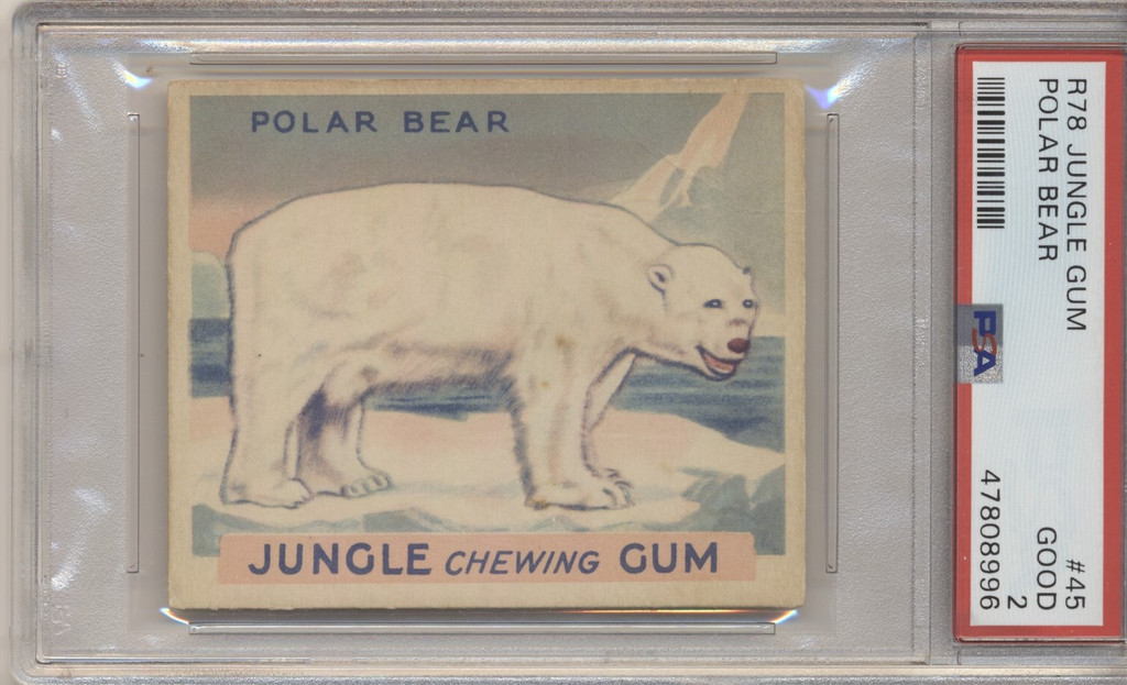 1934 Jungle Gum  #45  Polar Bear  PSA 2 GOOD(High Number) #*