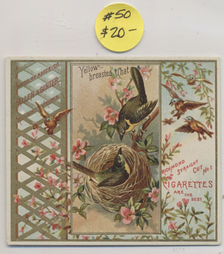 1890 Allen & Ginter N37  Birds Of America Lot 5 WILL SELL SINGLES  #*sku35119