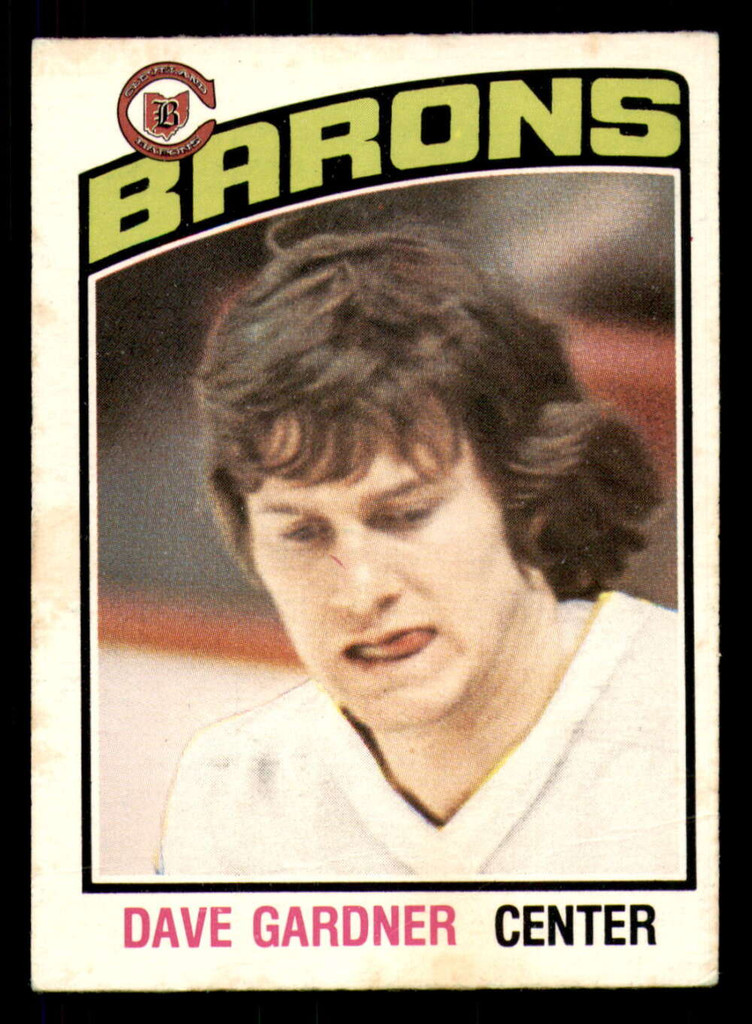 1976-77 O-Pee-Chee #274 Dave Gardner Very Good 