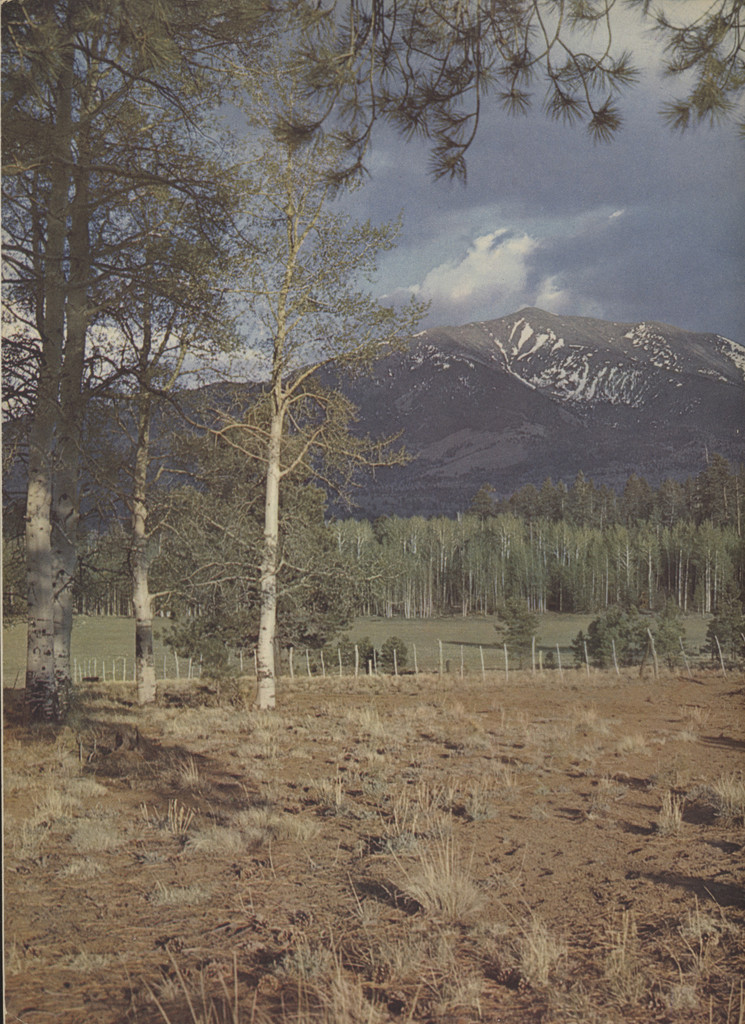 1975 Arizona Highways Magazine May 1950  Flagstaff, Arizona  #*sku35935