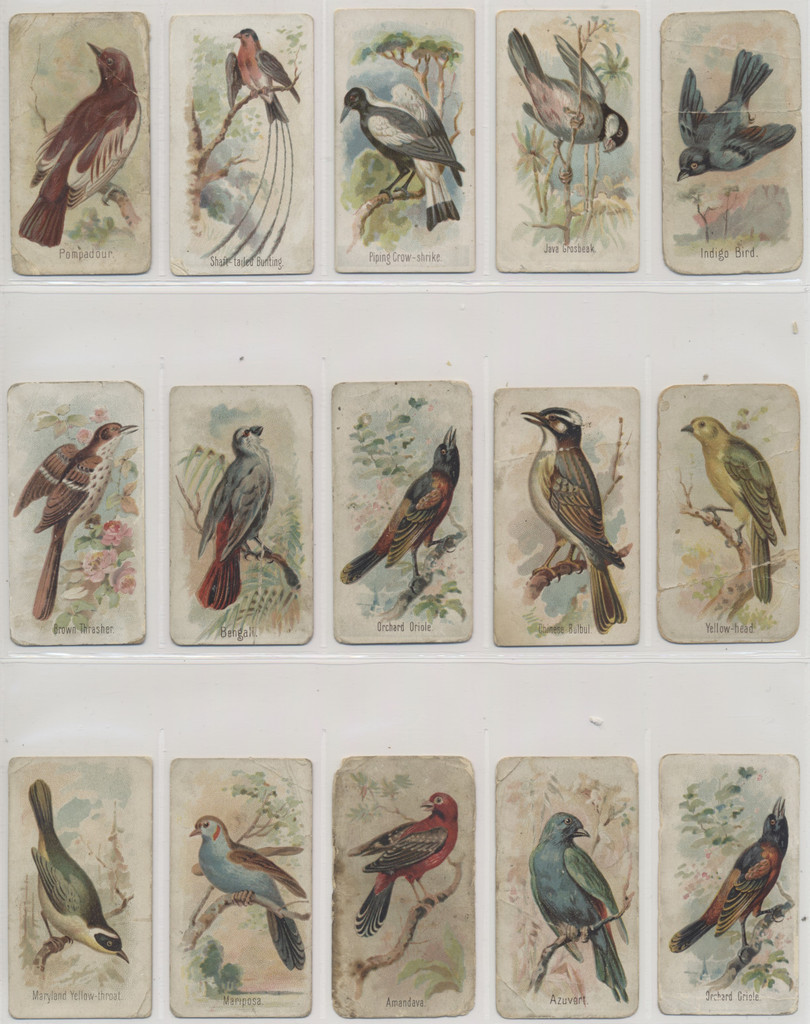 c-1907 E30 Philadelphia Caramel Co Zoo's Cards Song Birds Lot 19/50  #*sku35988