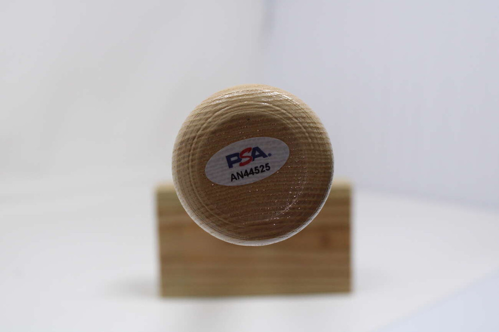 Al Kaline Bat Signed Auto PSA/DNA Sticker ONLY Tigers Rawlings 10 Gold Gloves