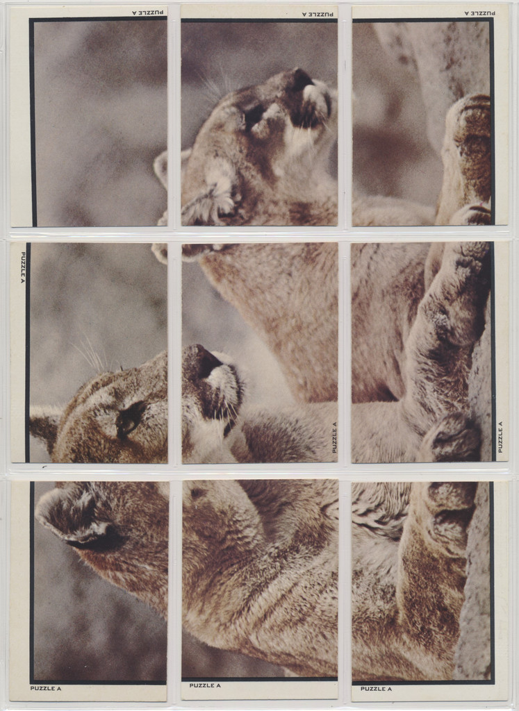 1975 Topps Zoo's Who Set 40/17   #*sku36786