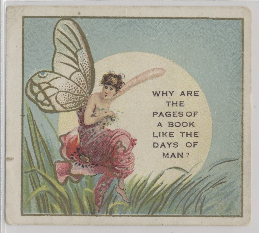 circ 1910's T97 Riddle Series #14 Why are the pages of a book...  #*sku37227