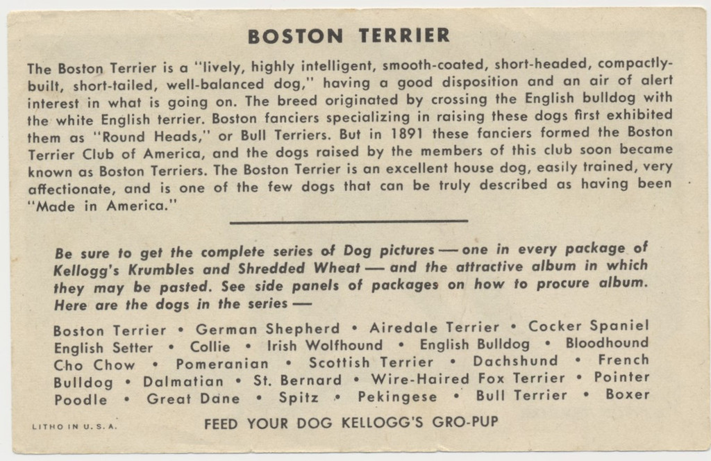 circ. 1940's F273-6 Kellogg's Krumbles Dogs BOSTON TERRIER  #*sku37256