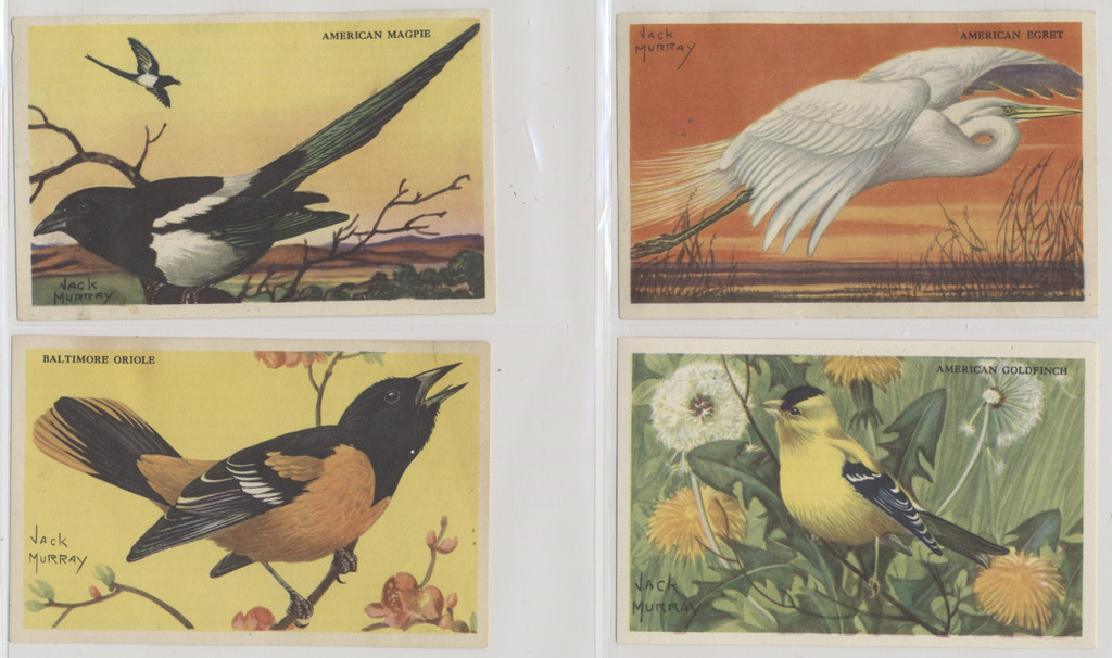 1947 Kellogg's Company F273-2b Birds Pictures Series B 20/24  #*sku37255