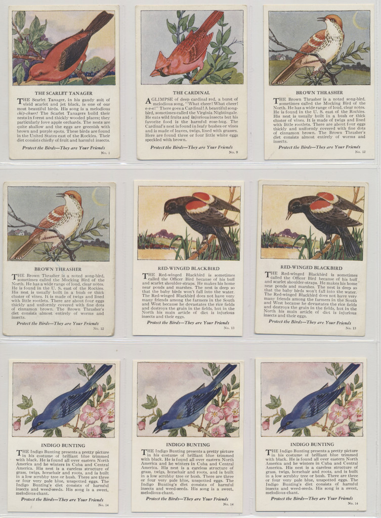 1929 D16 Krug's Bakery Birds Breeds Insert  Lot of 9  #*sku37397