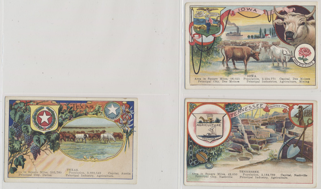 circ. 1920's D22 Mrs. Smith's Bread Premium  Cards of States  #*sku37399