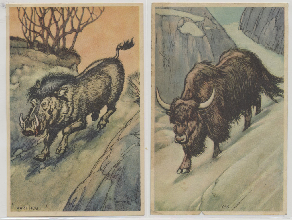 circ. 1930's D12 Bread Advertising Animals in Their Habitats  Lot of 2 different plus 5 duplicates  #*sku37400