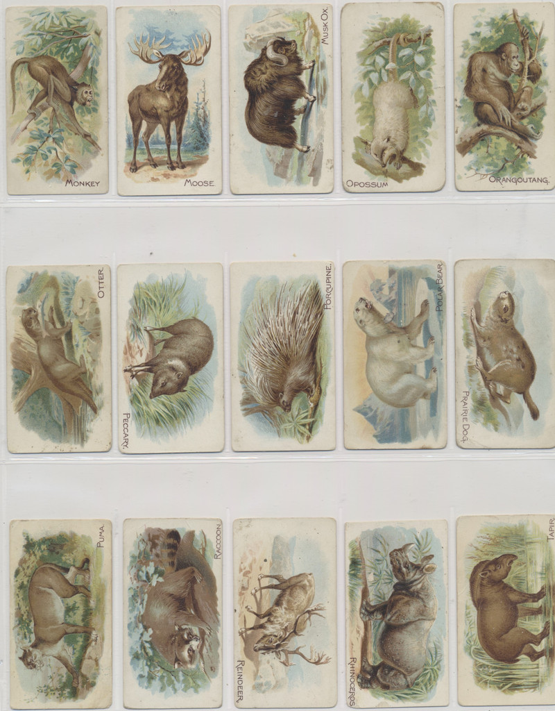 1910 E28 Philadelphia Caramel Co. Zoo Cards (Quadrupeds) Complete Set of 50  #*sku26698
