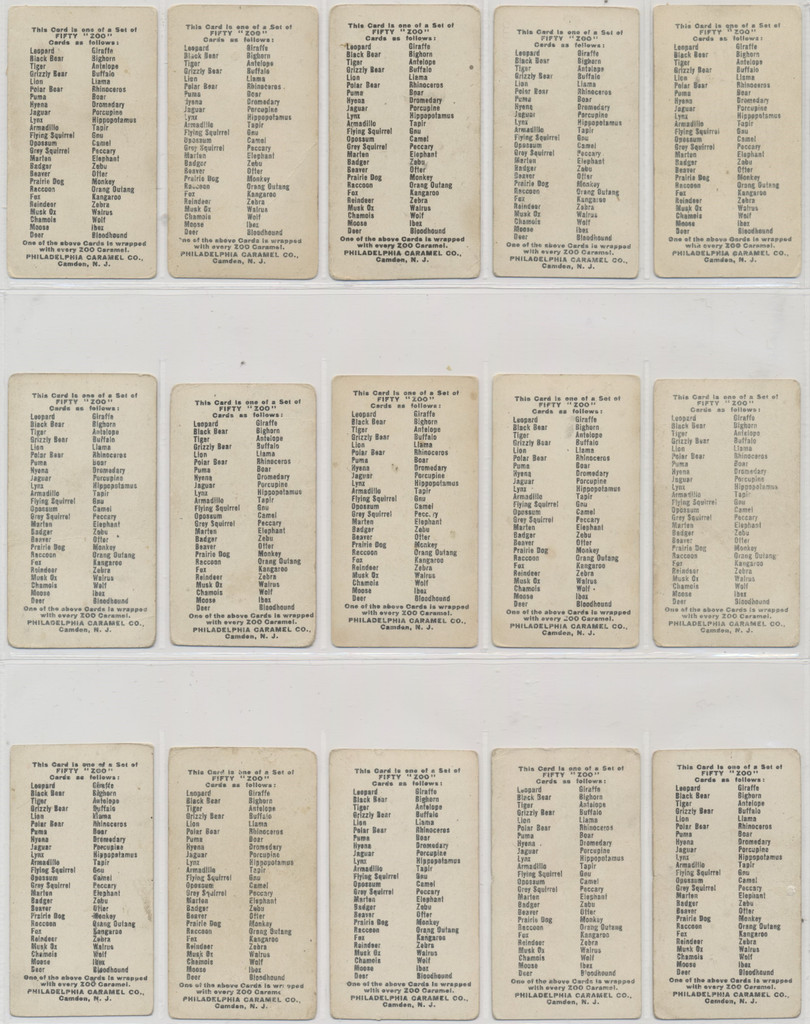 1910 E28 Philadelphia Caramel Co. Zoo Cards (Quadrupeds) Complete Set of 50  #*sku26698