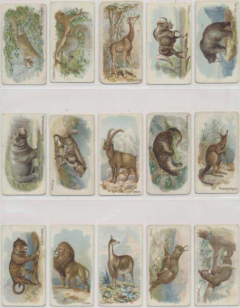 1910 E28 Philadelphia Caramel Co. Zoo Cards (Quadrupeds) Complete Set of 50  #*sku26698
