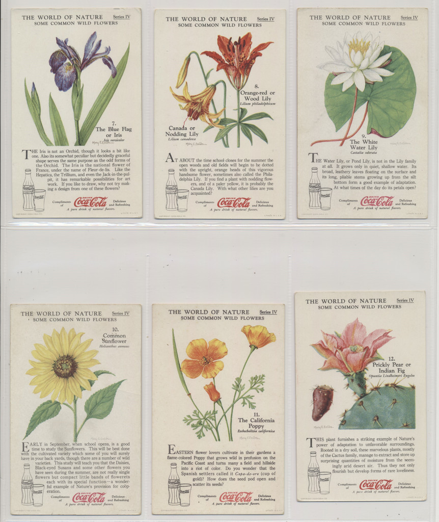 1920'S COCA-COLA F213-3 THE WORLD OF NATURE SERIES IV "SOME COMMON WILD FLOWERS"  #*sku37465