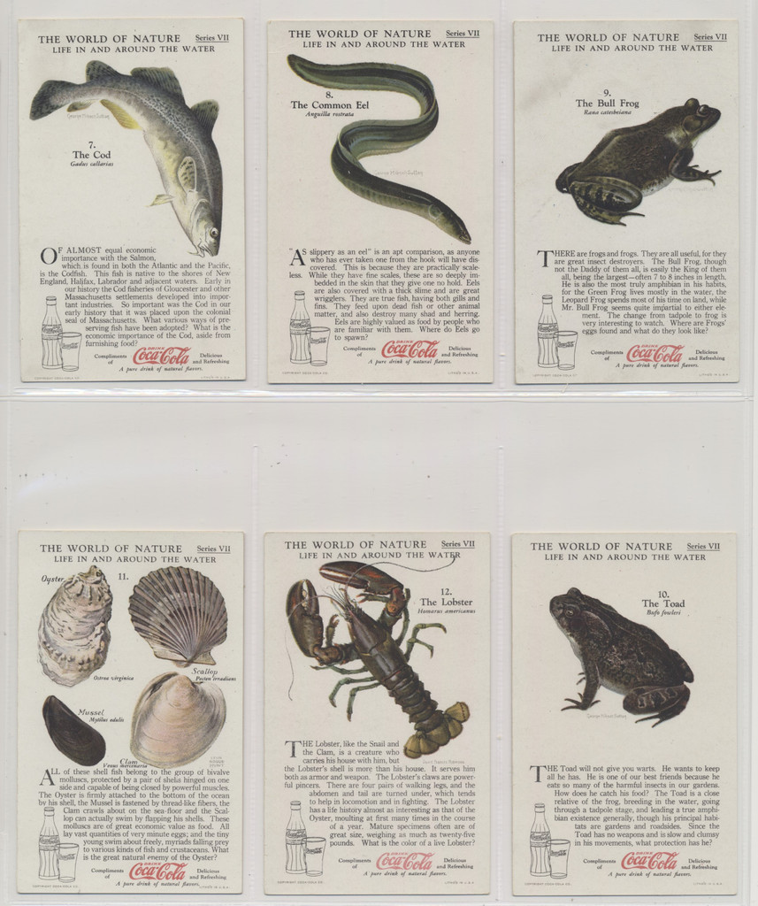 1920'S COCA-COLA F213-3 THE WORLD OF NATURE SERIES VII "LIFE IN & AROUND THE WTER"    #*sku37466