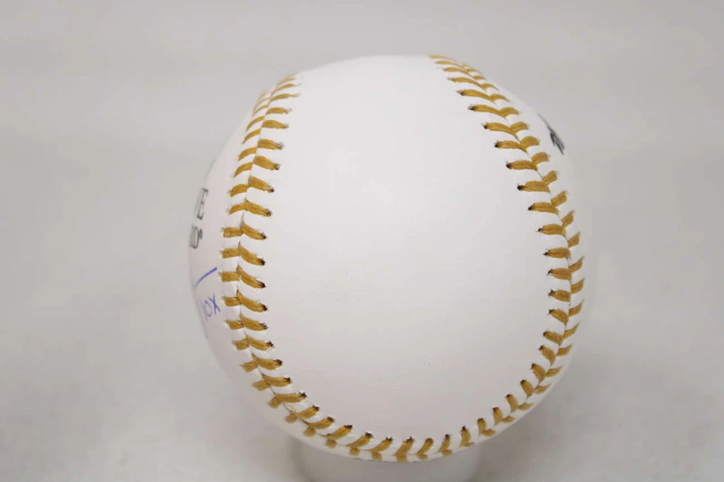 Andruw Jones Baseball JSA Autograph Signed Braves Gold Glove Logo Ball 10x