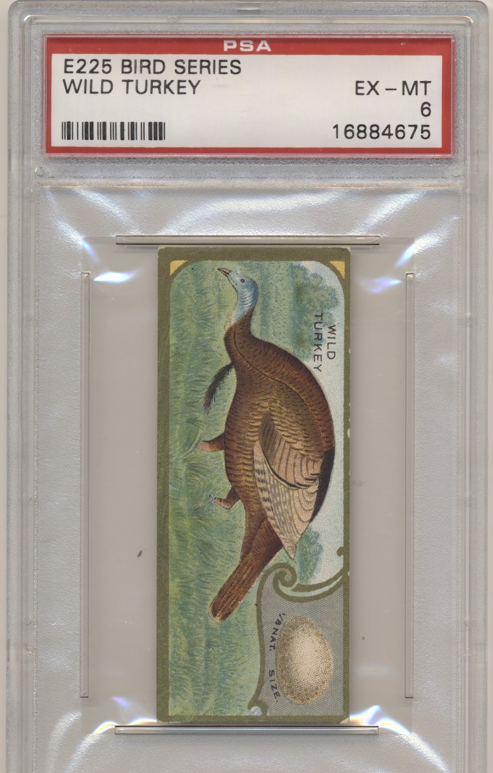 Scottsdale Baseball Cards Your Source for Vintage Sports and Non