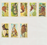 1958 Nabisco Exotic Animals 8/24    Canadian    #*