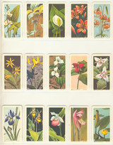 1961 Brooke Bond Canada Ltd Wild Flowers Of North America FC34-4 Series 3 Set 48 with Unused Album  #*