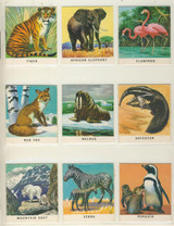 1960's Golden Press Animals Punched Out Set 45   #*&